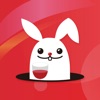 论酒(酒云网)app 茅台