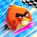 愤怒的小鸟赛跑游戏下载安装(Racing)