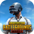 pubg地铁逃生2.9版本下载(PUBG MOBILE)