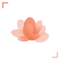 广州鲜花app